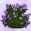 Nature Unlock logo